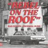 Video: Rebel on the Roof By Ras Ceylon & Prodigal Sunn
