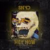 Track: Hey Now (Prod. Harry Fraud) By SNYD