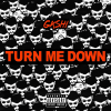 Track: Turn Me Down By G4SHi