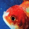 Vince Staples is back with his second, jaw dropping album, "Big Fish Theory" stream here