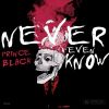 Track: Never Even Know By Prince Black