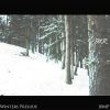 EP: Winters Prelude By 10 MP