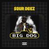Video: Big Dog By Sour Deez