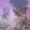 Video: Lilly By Toro y Moi
